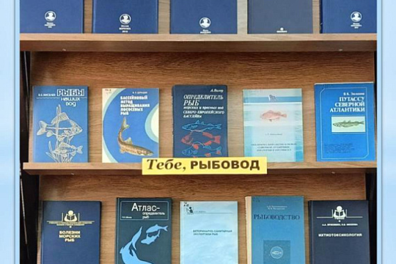 Пункт обслуживания ММРК представляет цикл книжных выставок «И все-таки море»